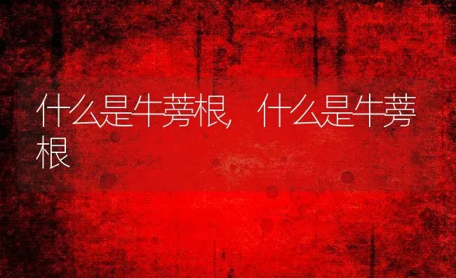 什么是牛蒡根,什么是牛蒡根 | 养殖科普