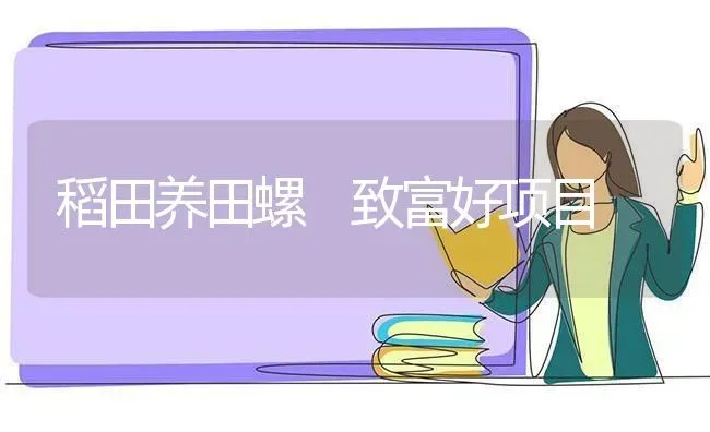 稻田养田螺　致富好项目 | 养殖技术大全