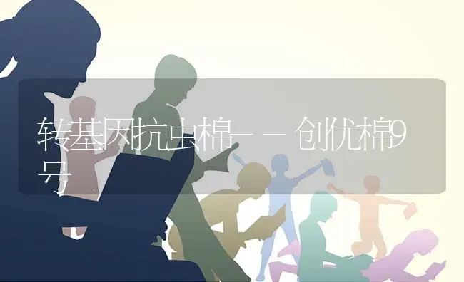 转基因抗虫棉--创优棉9号 | 养殖知识