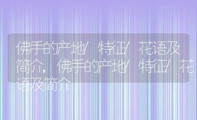 佛手的产地/特征/花语及简介,佛手的产地/特征/花语及简介 | 养殖科普