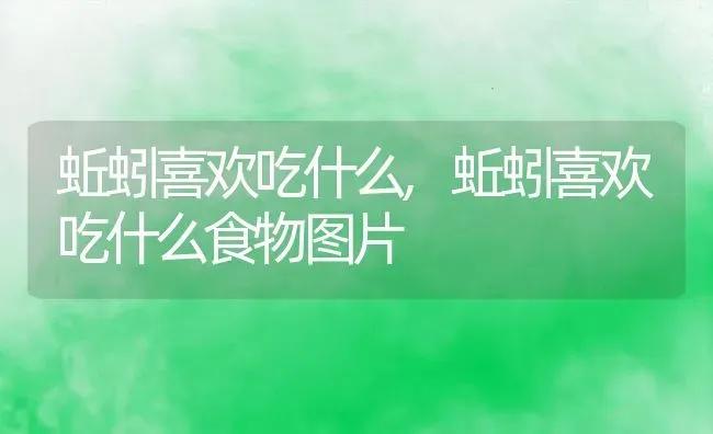 蚯蚓喜欢吃什么,蚯蚓喜欢吃什么食物图片 | 养殖资料