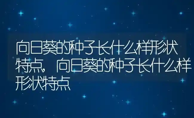 向日葵的种子长什么样形状特点,向日葵的种子长什么样形状特点 | 养殖科普