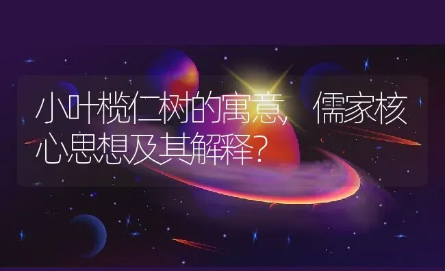 小叶榄仁树的寓意,儒家核心思想及其解释？ | 养殖科普