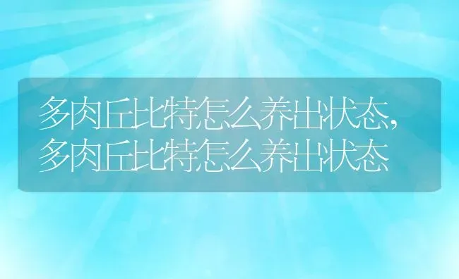 多肉丘比特怎么养出状态,多肉丘比特怎么养出状态 | 养殖科普