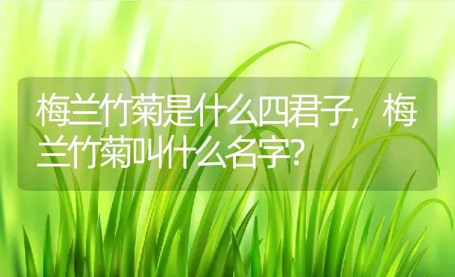 梅兰竹菊是什么四君子,梅兰竹菊叫什么名字？ | 养殖科普