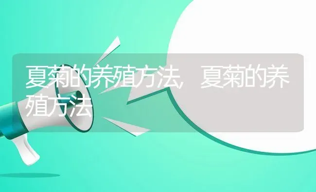 夏菊的养殖方法,夏菊的养殖方法 | 养殖科普