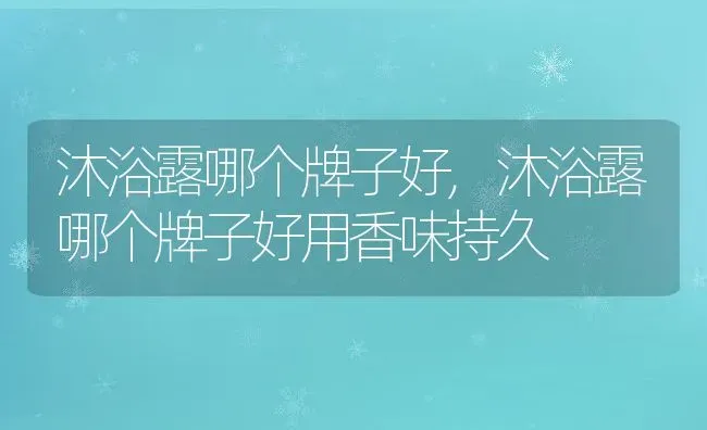 沐浴露哪个牌子好,沐浴露哪个牌子好用香味持久 | 养殖资料