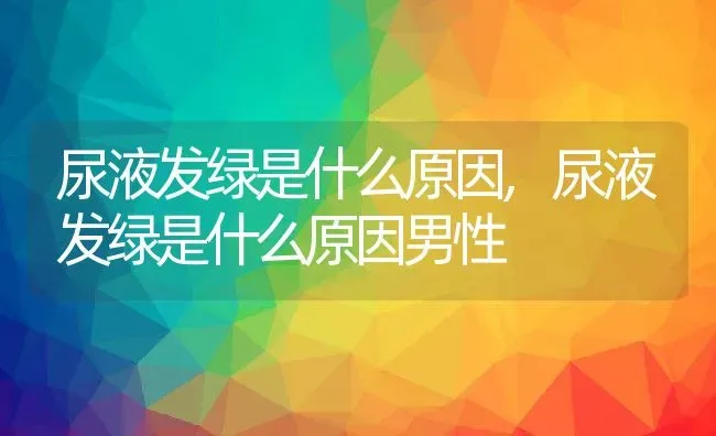 尿液发绿是什么原因,尿液发绿是什么原因男性 | 养殖学堂