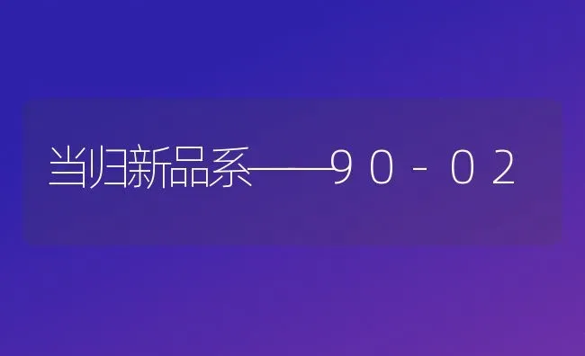 当归新品系——90-02 | 养殖技术大全