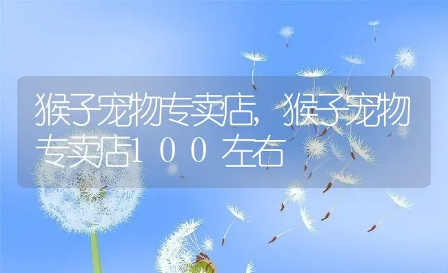 猴子宠物专卖店,猴子宠物专卖店100左右 | 养殖资料