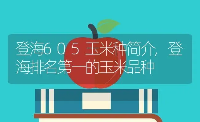 登海605玉米种简介,登海排名第一的玉米品种 | 养殖学堂