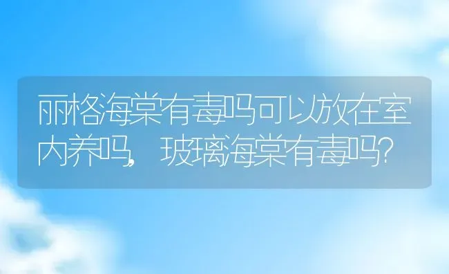 丽格海棠有毒吗可以放在室内养吗,玻璃海棠有毒吗？ | 养殖科普