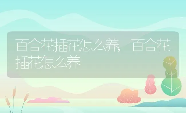 百合花插花怎么养,百合花插花怎么养 | 养殖科普