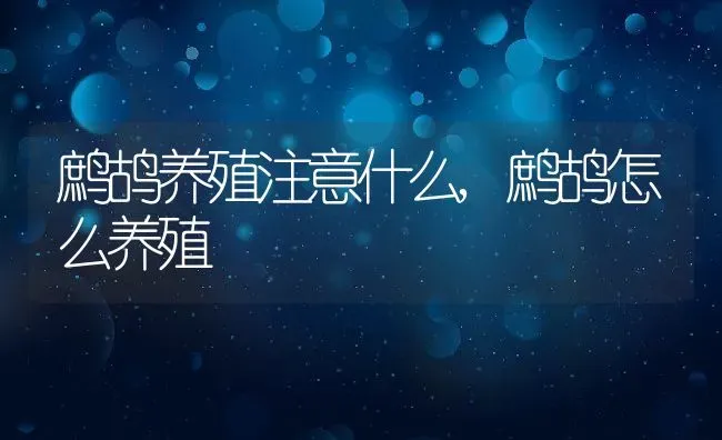 水稻细菌性条斑病的防治,噻森铜使用说明 | 养殖学堂