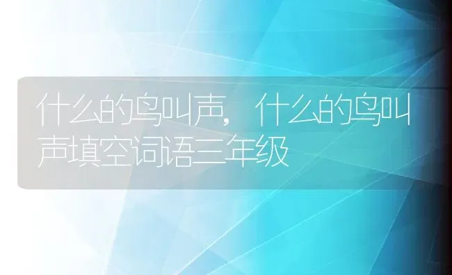 什么的鸟叫声,什么的鸟叫声填空词语三年级 | 养殖科普