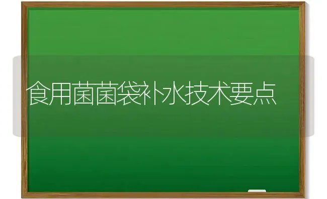 食用菌菌袋补水技术要点 | 养殖技术大全