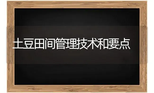 土豆田间管理技术和要点 | 养殖技术大全