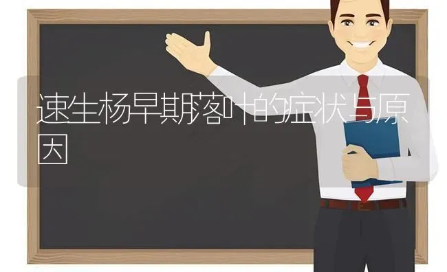 速生杨早期落叶的症状与原因 | 养殖技术大全