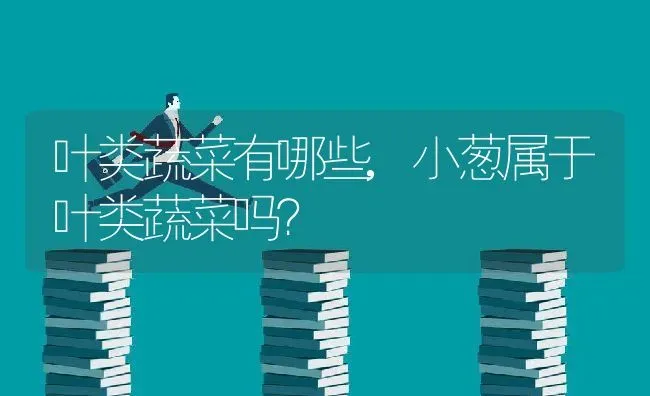 叶类蔬菜有哪些,小葱属于叶类蔬菜吗？ | 养殖科普