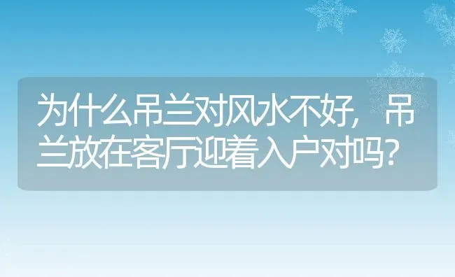 为什么吊兰对风水不好,吊兰放在客厅迎着入户对吗？ | 养殖学堂