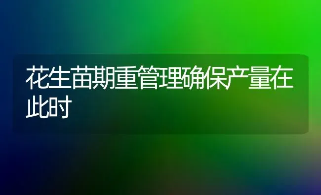 花生苗期重管理确保产量在此时 | 养殖技术大全