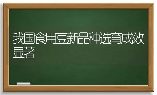 我国食用豆新品种选育成效显著 | 养殖知识