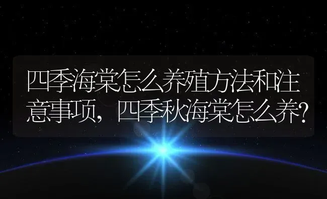 四季海棠怎么养殖方法和注意事项,四季秋海棠怎么养？ | 养殖科普