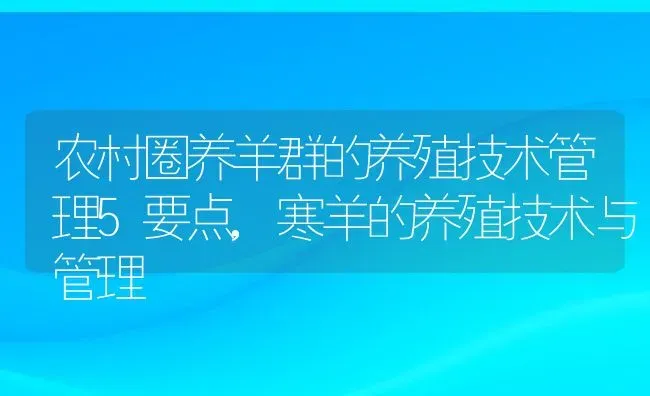 农村圈养羊群的养殖技术管理5要点,寒羊的养殖技术与管理 | 养殖学堂