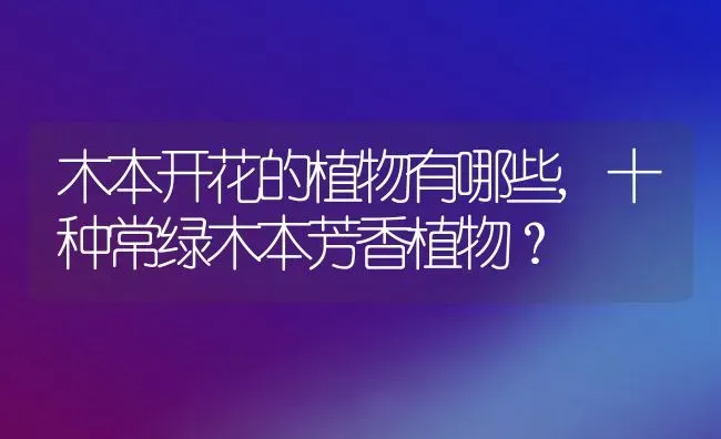 木本开花的植物有哪些,十种常绿木本芳香植物？ | 养殖科普