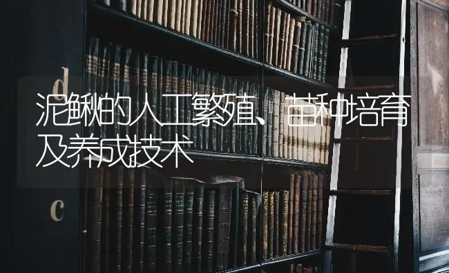 泥鳅的人工繁殖、苗种培育及养成技术 | 养殖技术大全