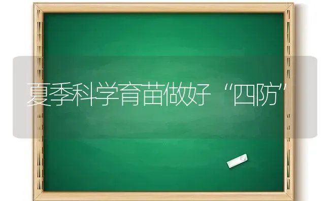 夏季科学育苗做好“四防” | 养殖技术大全