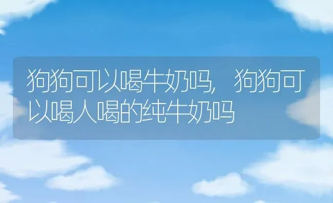 狗狗可以喝牛奶吗,狗狗可以喝人喝的纯牛奶吗 | 养殖资料