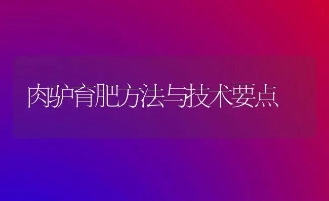 肉驴育肥方法与技术要点 | 养殖知识