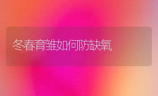 冬春育雏如何防缺氧 | 养殖知识