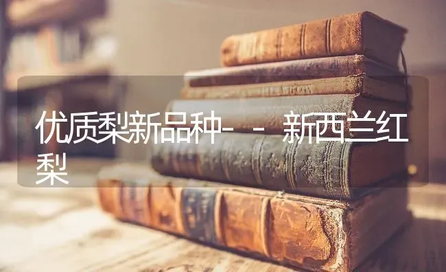 优质梨新品种--新西兰红梨 | 养殖技术大全