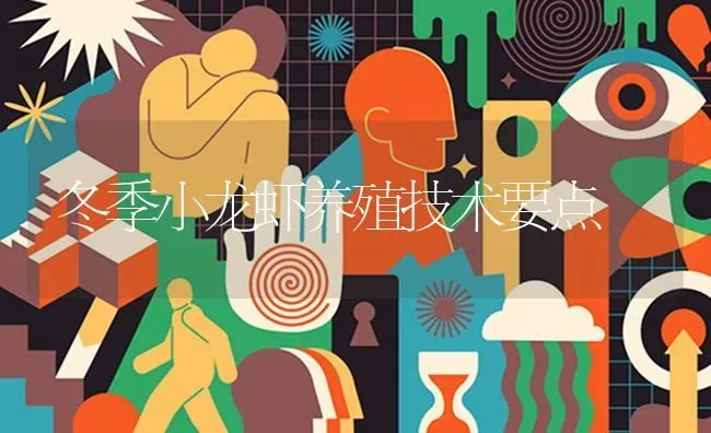 冬季小龙虾养殖技术要点 | 养殖技术大全