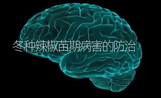 冬种辣椒苗期病害的防治 | 养殖知识