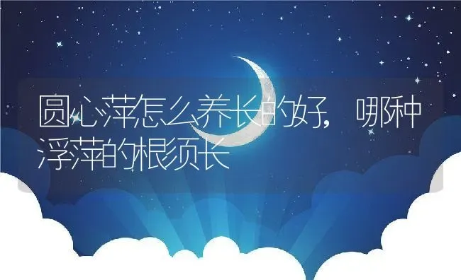 圆心萍怎么养长的好,哪种浮萍的根须长 | 养殖学堂