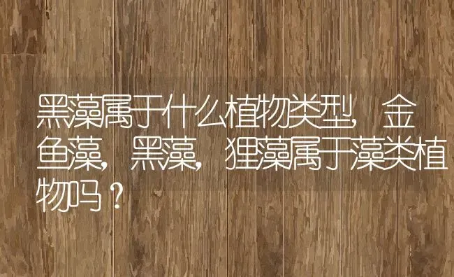 黑藻属于什么植物类型,金鱼藻，黑藻，狸藻属于藻类植物吗？ | 养殖科普