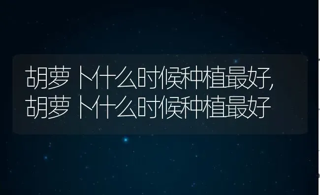 胡萝卜什么时候种植最好,胡萝卜什么时候种植最好 | 养殖学堂
