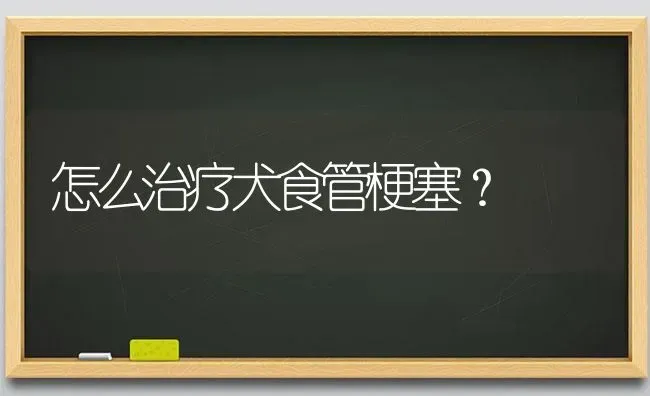 怎么治疗犬食管梗塞? | 养殖技术大全