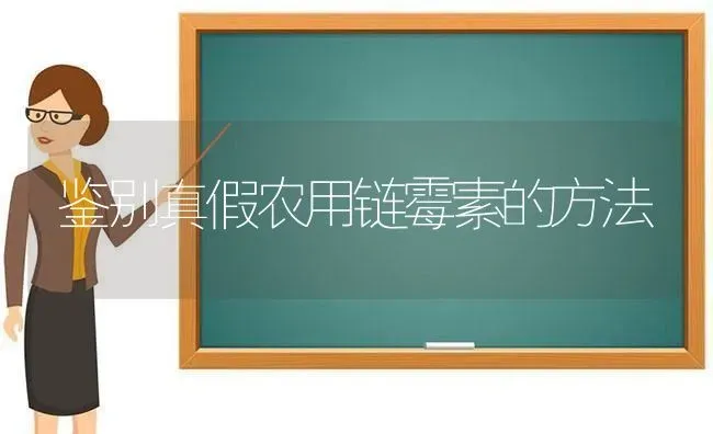 鉴别真假农用链霉素的方法 | 养殖知识