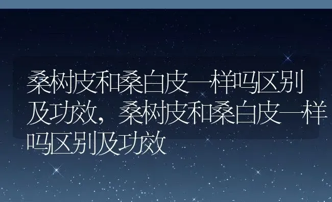 桑树皮和桑白皮一样吗区别及功效,桑树皮和桑白皮一样吗区别及功效 | 养殖科普