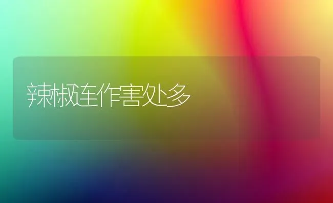 辣椒连作害处多 | 养殖技术大全