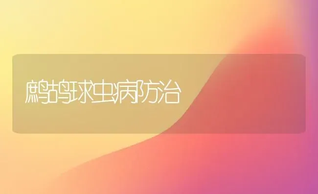 鹧鸪球虫病防治 | 养殖知识