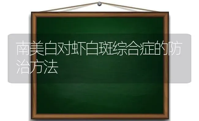 南美白对虾白斑综合症的防治方法 | 养殖知识