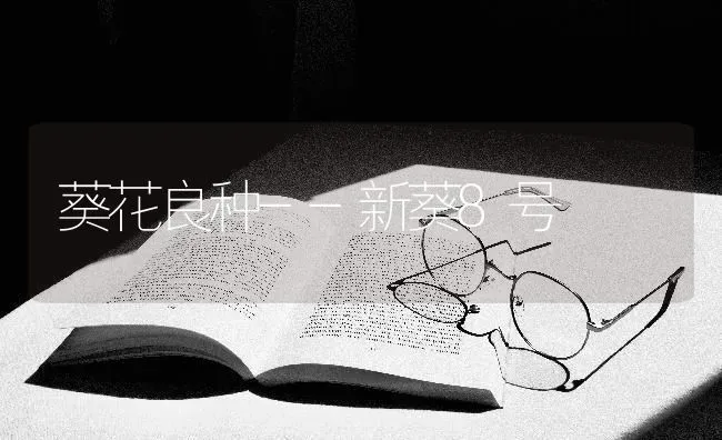 葵花良种--新葵8号 | 养殖知识