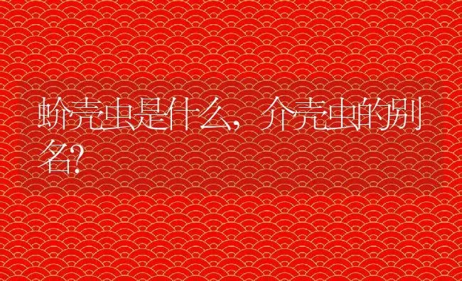 蚧壳虫是什么,介壳虫的别名？ | 养殖科普