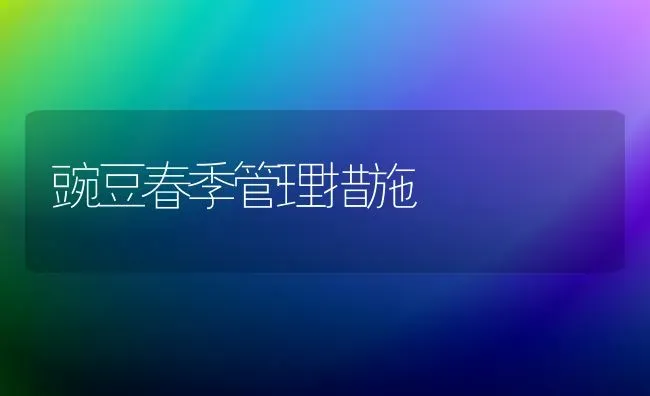 豌豆春季管理措施 | 养殖技术大全