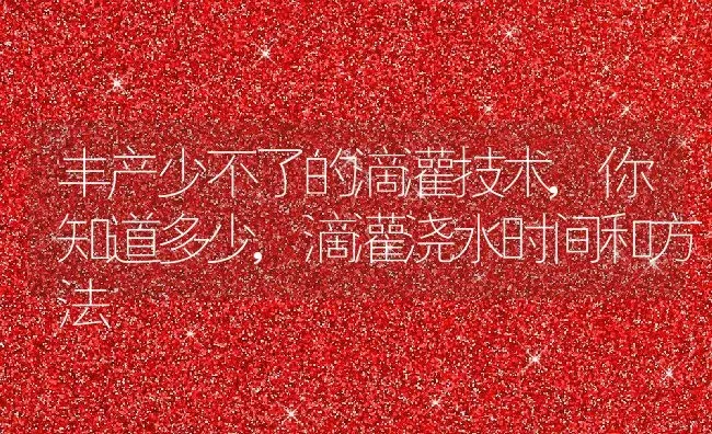 茶花什么时候开花花期多长时间 | 养殖学堂